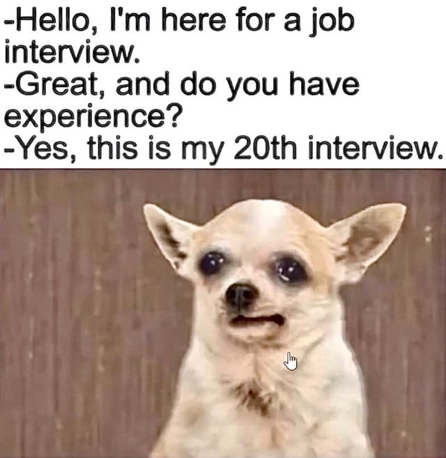 This single-panel meme features a short dialogue placed above a viral photo of a teary-eyed chihuahua with a forced, pained smile. The dialogue reads as follows: A job candidate states, "Hello, I'm here for a job interview." The interviewer responds, "Great, and do you have experience?" The candidate answers, "Yes, this is my 20th interview." The joke relies on a play on the word "experience": the interviewer refers to relevant professional work experience, while the desperate candidate counts their repeated failed interview attendance as experience. The chihuahua's expression perfectly captures the awkward, defeated, desperate mood of job seekers struggling to land entry-level roles.