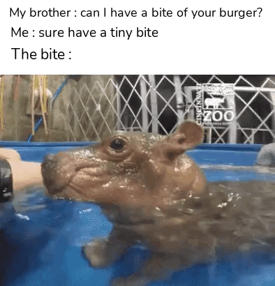 The meme is structured as a relatable humorous scenario. Text at the top reads: 'My brother : can I have a bite of your burger?', 'Me : sure have a tiny bite', 'The bite :', followed by a photograph of a baby hippo (Fiona from Cincinnati Zoo) biting an entire human arm resting on the edge of a blue pool, with a Cincinnati Zoo fence visible in the background. The joke exaggerates the common experience of having a sibling take a far larger bite of food than requested, equating the greedy oversize bite to the hippo taking an entire arm, creating a funny, exaggerated contrast between expectation and reality.