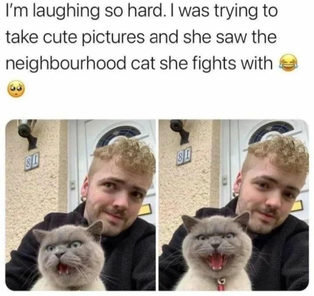 This is a two-panel photo meme. The top text explains the context: the pet owner was trying to take cute photos of his cat, until the cat spotted the neighborhood cat that it regularly fights with, prompting the owner to laugh very hard, accompanied by a laughing-crying emoji and a pleading pouting emoji. The left panel shows a gray domestic cat with a wide-eyed, annoyed expression, mouth slightly open, as it first notices the rival cat. The right panel shows the same cat hissing aggressively, mouth fully open showing its teeth, reacting angrily to the rival. The cat's owner is visible in the background of both panels posing for the photo with a slightly amused expression, standing in front of a residential house door with the house number 81 visible on the wall beside the door.
