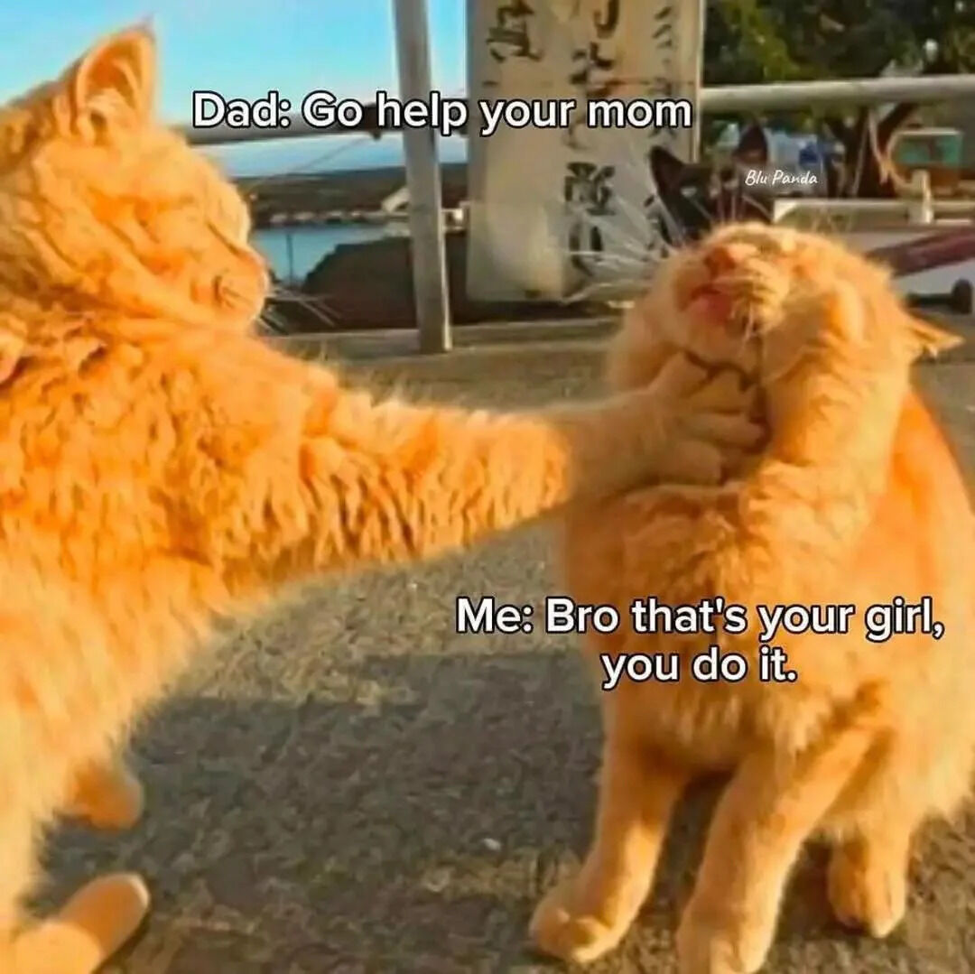 A humorous meme featuring two orange cats in an outdoor setting. The left cat, representing 'Dad', is grabbing the right cat (representing 'Me') by the neck with a stern posture. The text overlay shows a dialogue: 'Dad: Go help your mom' and 'Me: Bro that's your girl, you do it', creating a relatable family humor scenario where the child playfully argues that the dad should help his own partner. The background includes a blurred sign with Asian characters and a waterfront view, with a 'Blu Panda' watermark in the top right corner.