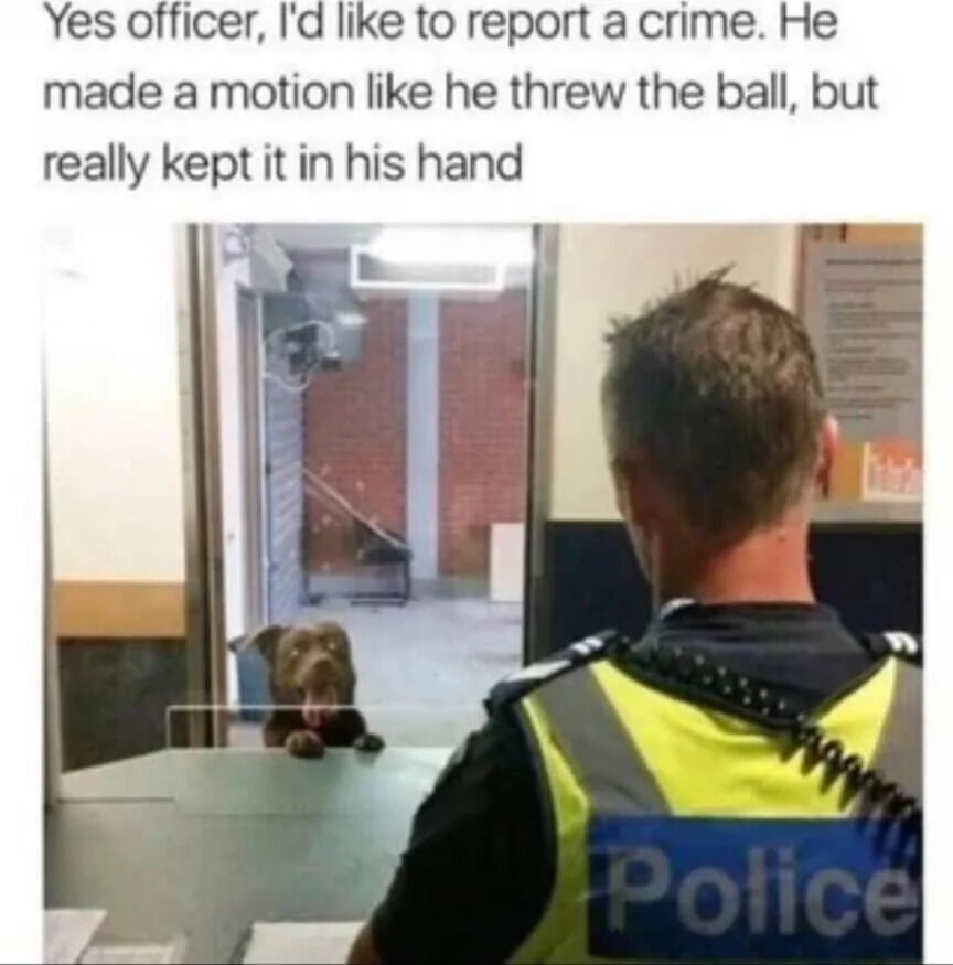 The image depicts a humorous scene where a brown dog is positioned at a police station counter, leaning its front paws on the desk and looking up at a police officer. The officer, wearing a yellow and blue 'Police' vest, has his back to the camera, facing the dog. Above the image, there is a text overlay written from the dog's perspective: 'Yes officer, I'd like to report a crime. He made a motion like he threw the ball, but really kept it in his hand.' This creates a playful narrative where the dog is 'reporting' a trivial, relatable 'offense' of someone pretending to throw a ball but keeping it, adding a lighthearted and funny twist to the interaction between the dog and the officer.