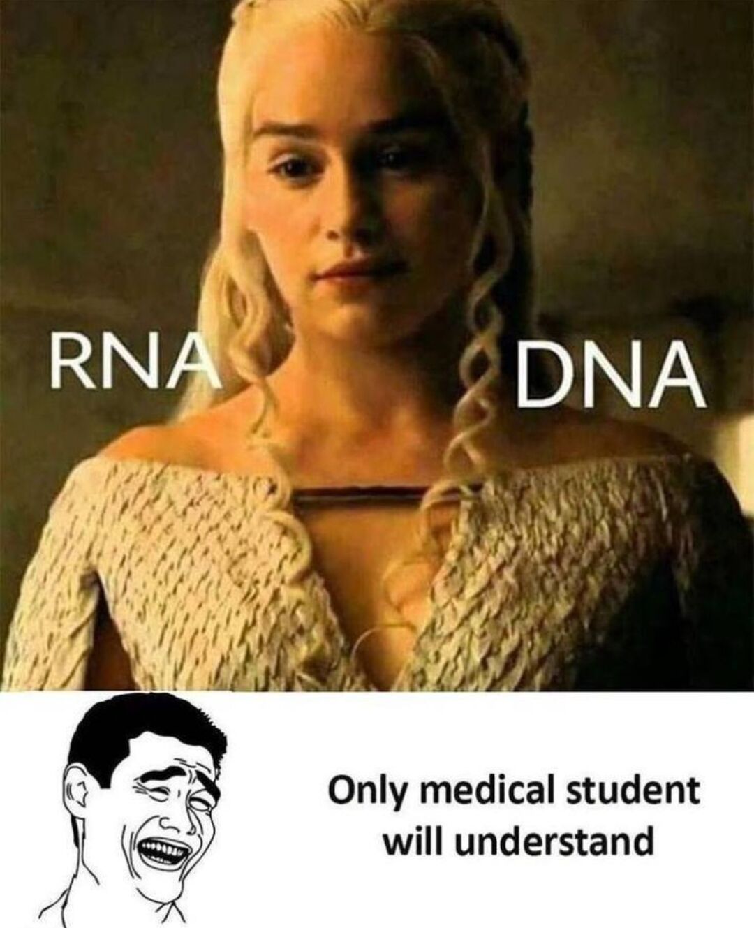This is a two-part science-themed meme. The top half features a screenshot of Daenerys Targaryen from *Game of Thrones*, with 'RNA' labeled on her left shoulder and 'DNA' labeled on her right shoulder. The off-the-shoulder cut of her dress places the two labels on opposite sides of her open neckline, making a visual pun on the double-stranded structure of nucleic acids that only biology/medical students would easily recognize. The bottom half includes a laughing Wojak (rage comic) drawing alongside text that reads 'Only medical student will understand', framing this as an inside joke for students in medical and biology fields.