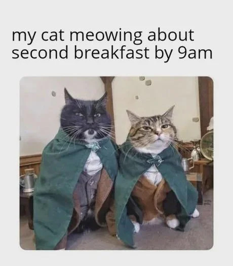 A meme featuring two real cats dressed in green cloaks resembling hobbits from 'The Lord of the Rings.' The cats sit upright on a carpeted floor in a room with wooden furniture, appearing serious and expectant. Above the image, a text overlay reads 'my cat meowing about second breakfast by 9am,' humorously equating the cats' demand for an early additional meal to hobbits' famous insistence on multiple daily meals, particularly 'second breakfast' as depicted in the Lord of the Rings franchise. The costume and text combine to create a playful analogy between feline hunger and hobbit culinary habits.