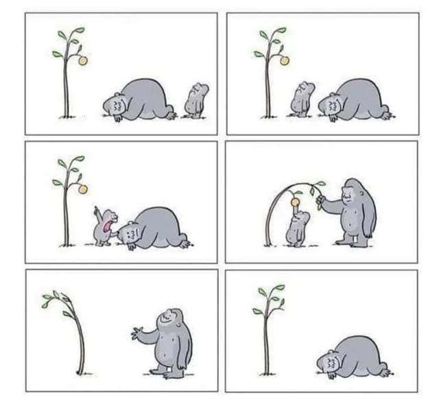 This is a 6-panel hand-drawn comic meme. Panel 1 and 2: An adult gorilla lies on the ground looking dejected, while a small baby gorilla stares up at a single fruit hanging high on a thin sapling, unable to reach it. Panel 3: The baby gorilla tugs on the adult gorilla to wake it up, crying and gesturing toward the out-of-reach fruit. Panel 4: The adult gorilla stands up, pulls the top of the sapling down to lower the fruit so the baby can grab and eat it, believing the problem is fixed. Panel 5: The adult gorilla smiles proudly at his solution, as the bent sapling now stands curved with no fruit left. Panel 6: The sapling has grown back to its original upright position, with a new fruit growing even higher up than before; the adult gorilla is once again lying dejected on the ground, as his short-term fix actually made the original problem worse long-term. The joke relies on the irony of a quick solution leading to a worse outcome.