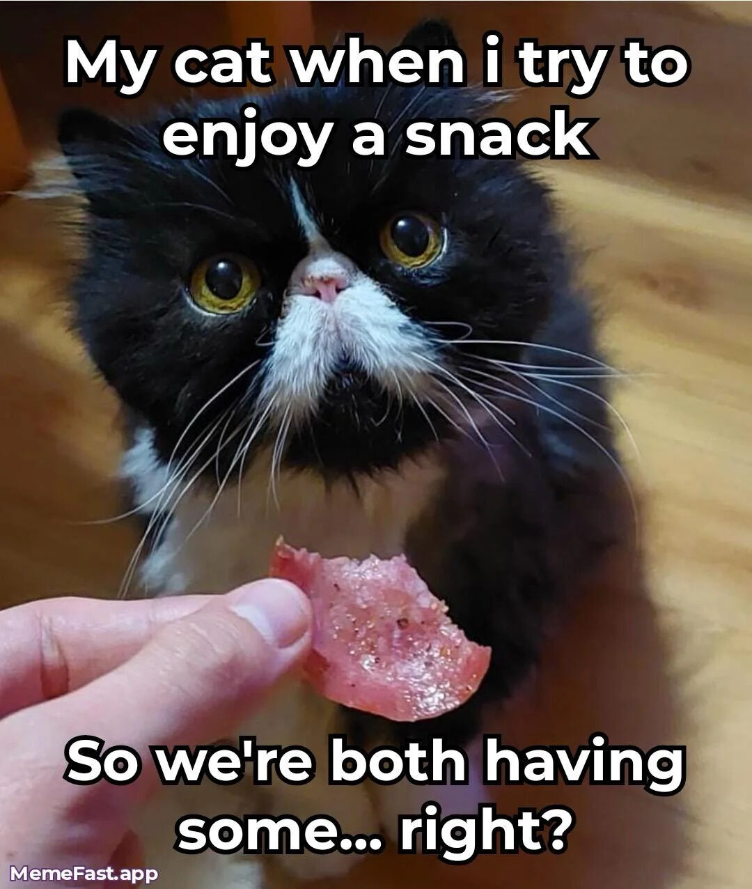 This is a relatable wholesome pet meme featuring a fluffy black and white tuxedo cat with large bright yellow eyes. A human hand holds a small piece of pink processed meat snack directly in front of the cat, which stares at the food with an intensely pleading, hopeful expression. Overlaid text at the top of the image reads 'My cat when i try to enjoy a snack', framing the scenario from the pet owner's point of view. Text at the bottom is written from the cat's perspective, saying 'So we're both having some... right?'. The meme humorously captures the common pet owner experience of cats immediately begging to share any food their owner is eating.