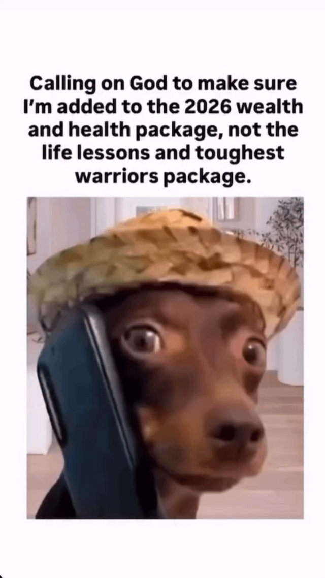 A meme consisting of a top text overlay and a photograph below. The text reads: 'Calling on God to make sure I’m added to the 2026 wealth and health package, not the life lessons and toughest warriors package.' The image features a small brown dog with large, wide eyes, wearing a woven straw hat, and holding a black smartphone to its ear in an earnest, almost pleading posture. The background shows a domestic interior with light-colored walls, a potted plant, and wooden flooring, creating a casual, homey setting. The combination of the dog’s human-like action (using a phone) and the humorous text conveys a relatable desire to avoid hardship (life lessons/warrior challenges) in favor of comfort (wealth/health) for the year 2026.