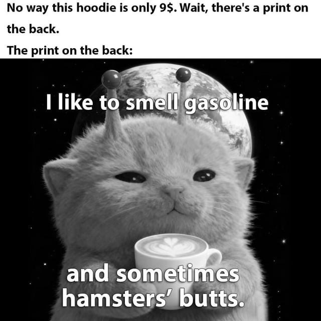 A meme featuring a humorous scenario where a hoodie priced at $9 has an unexpected and absurd print on the back. The top text introduces the hoodie's low price and the surprise of discovering a print, followed by an image of a cat-like character with antennae holding a coffee cup with a heart design. The background is a starry sky with a planet. Overlaid text on the cat reads: 'I like to smell gasoline and sometimes hamsters' butts,' creating a funny and absurd contrast between the cheap hoodie and the weird printed statement.
