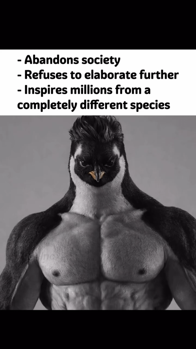 The meme features a top section with three bullet points: '- Abandons society', '- Refuses to elaborate further', and '- Inspires millions from a completely different species'. Below the text is a black and white image of an anthropomorphic penguin with a spiky hairstyle and a highly muscular, human-like torso. The penguin has an intense, serious stare, standing upright. The humor stems from the absurdity of a penguin (a non-human species) being framed as a reclusive figure who inspires humans, playfully mocking the internet trope of 'abandoning society' while adding a cross-species inspiration twist.