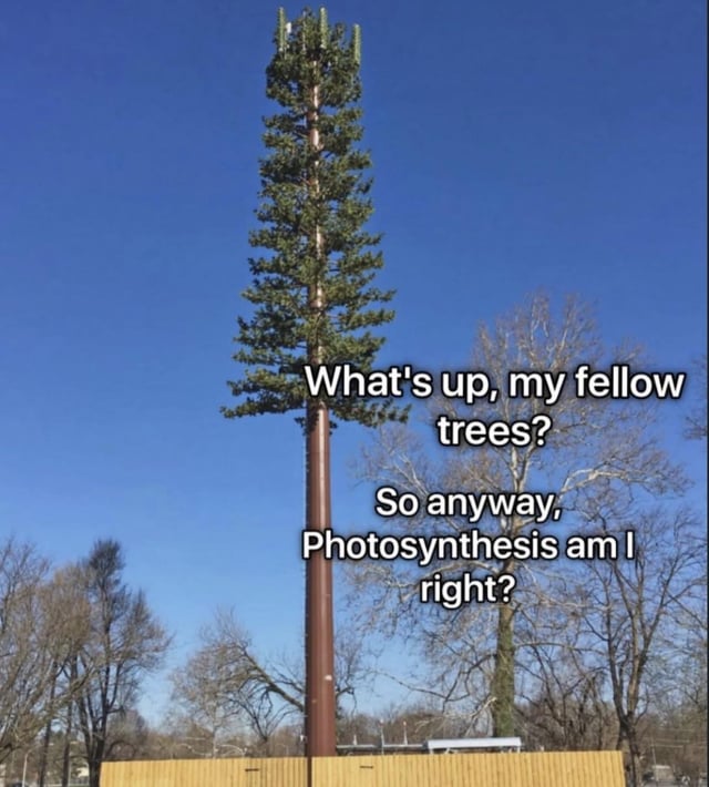 This meme features a real photograph of a cell phone tower poorly disguised as a tall pine tree, positioned among bare deciduous trees under a clear bright blue sky. Overlaid text is written from the perspective of the fake tree tower, stating first 'What's up, my fellow trees?' followed by 'So anyway, Photosynthesis am I right?'. The joke plays on how obviously fake the disguised cell tower is, leaning into the popular internet conspiracy joke that these poorly camouflaged towers are actually secret surveillance equipment run by federal government agents (feds), and are laughably unconvincing in their attempt to blend in with surrounding nature.