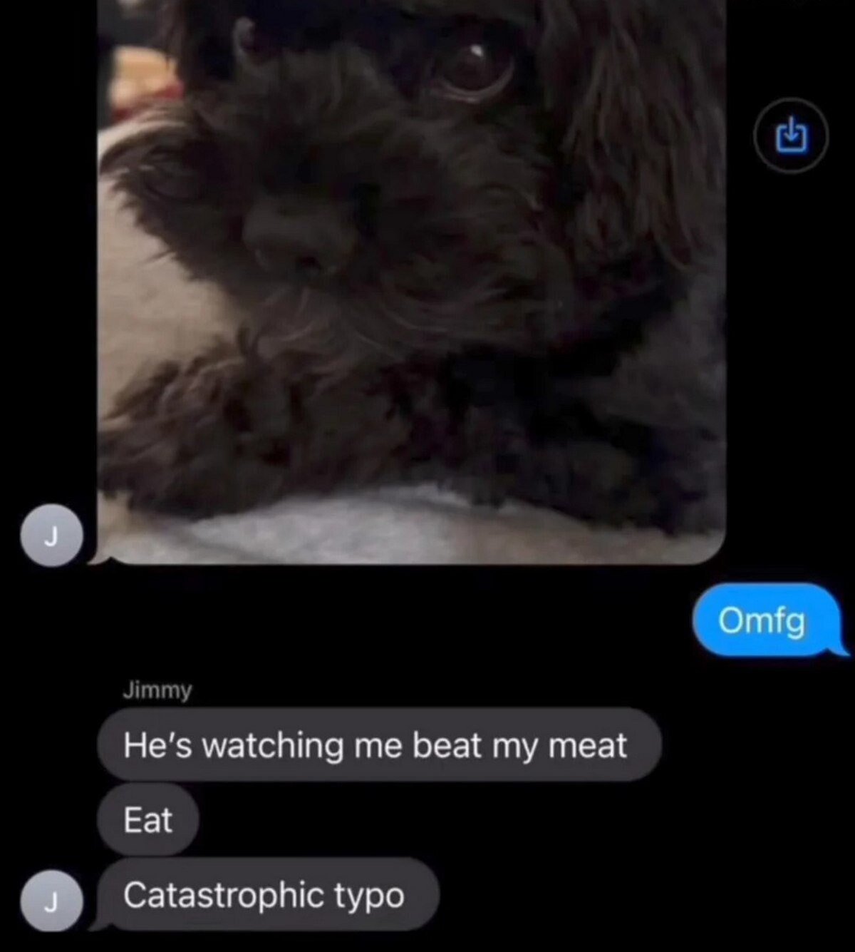 A meme featuring a close-up image of a small, fluffy dark-colored dog with an intense, curious stare looking directly at the camera. Below the dog image is a messaging interface showing a conversation between users with the initial 'J'. The conversation includes a message from 'Jimmy' saying 'He's watching me beat my meat', a response 'Eat', and a follow-up message 'Catastrophic typo'. A blue speech bubble with 'Omfg' appears to the right of the conversation.