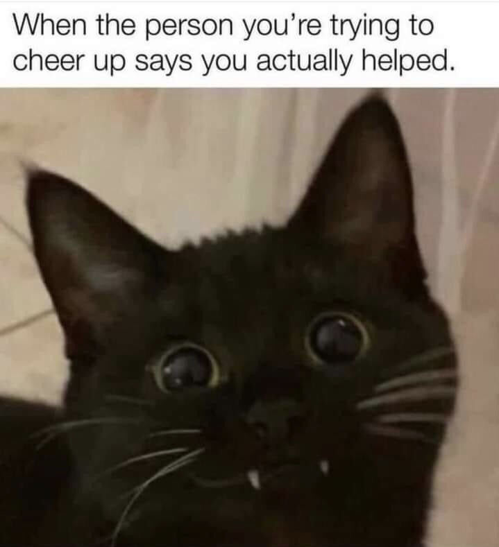 This meme is composed of a top text line and a close-up photo of a black cat below. The text reads 'When the person you’re trying to cheer up says you actually helped.' The black cat has wide, round surprised eyes and tiny fangs peeking out from its mouth, perfectly conveying the feeling of shocked, delighted surprise that comes when you are happily caught off guard to learn your attempt to comfort another person was successful.