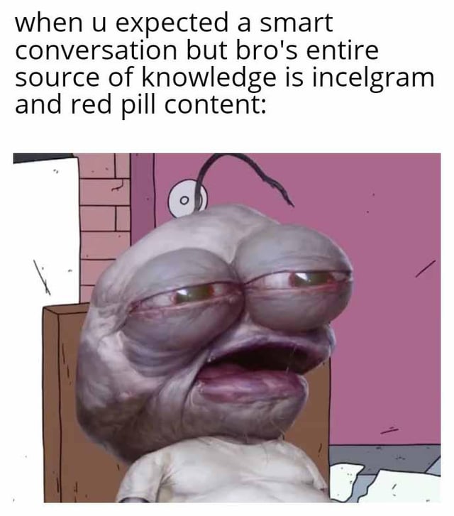 This is a single-panel reaction meme that jokes about the common disappointment of starting a conversation expecting intelligent discussion, only to find the other person has learned all their beliefs exclusively from misogynistic incel and 'red pill' manosphere online spaces. The image below the top text features a heavily edited, hyper-realistic, deformed version of Pepe the Frog with half-closed tired disappointed eyes and an open mouth, representing the poster's shocked and underwhelmed reaction to the situation.