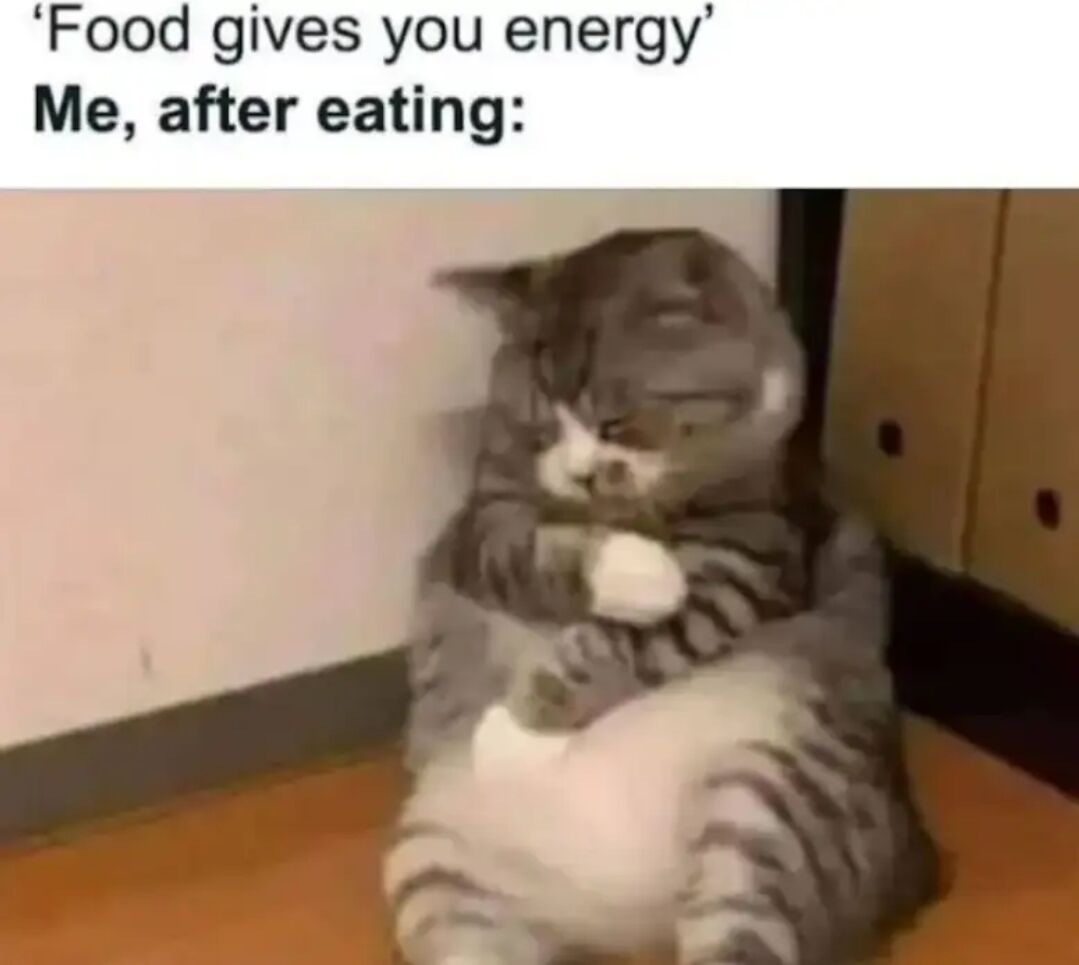 A humorous meme featuring a tired-looking gray and white cat sitting in a corner with its paws crossed over its chest. The top text reads 'Food gives you energy' followed by 'Me, after eating:' below it, creating a funny contrast between the expectation that food provides energy and the common experience of feeling tired after eating. The cat's sleepy posture perfectly illustrates this relatable feeling.