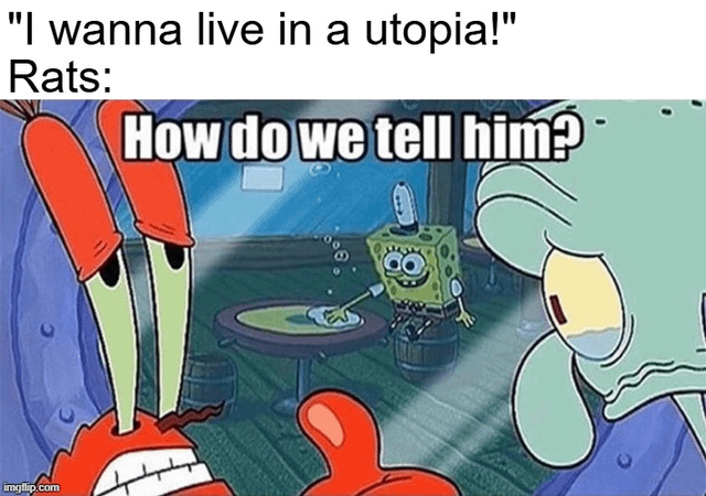 This meme features a pun in its title 'The Nimh-rod', combining NIMH (the National Institute of Mental Health which ran famous 1970s rat utopia experiments) and the slang term 'nimrod' meaning a foolish person. The top text sets up a joke: a person says 'I wanna live in a utopia!', followed by 'Rats:' to introduce the rat response. The accompanying scene is a screenshot from SpongeBob SquarePants where Mr. Krabs and Squidward exchange awkward looks with the text 'How do we tell him?' overlaid, referencing that the NIMH rat utopia experiments ended in societal collapse even with unlimited resources, implying the speaker is naive to the fact that utopias are functionally unworkable for social species, and the rats already know this negative outcome.