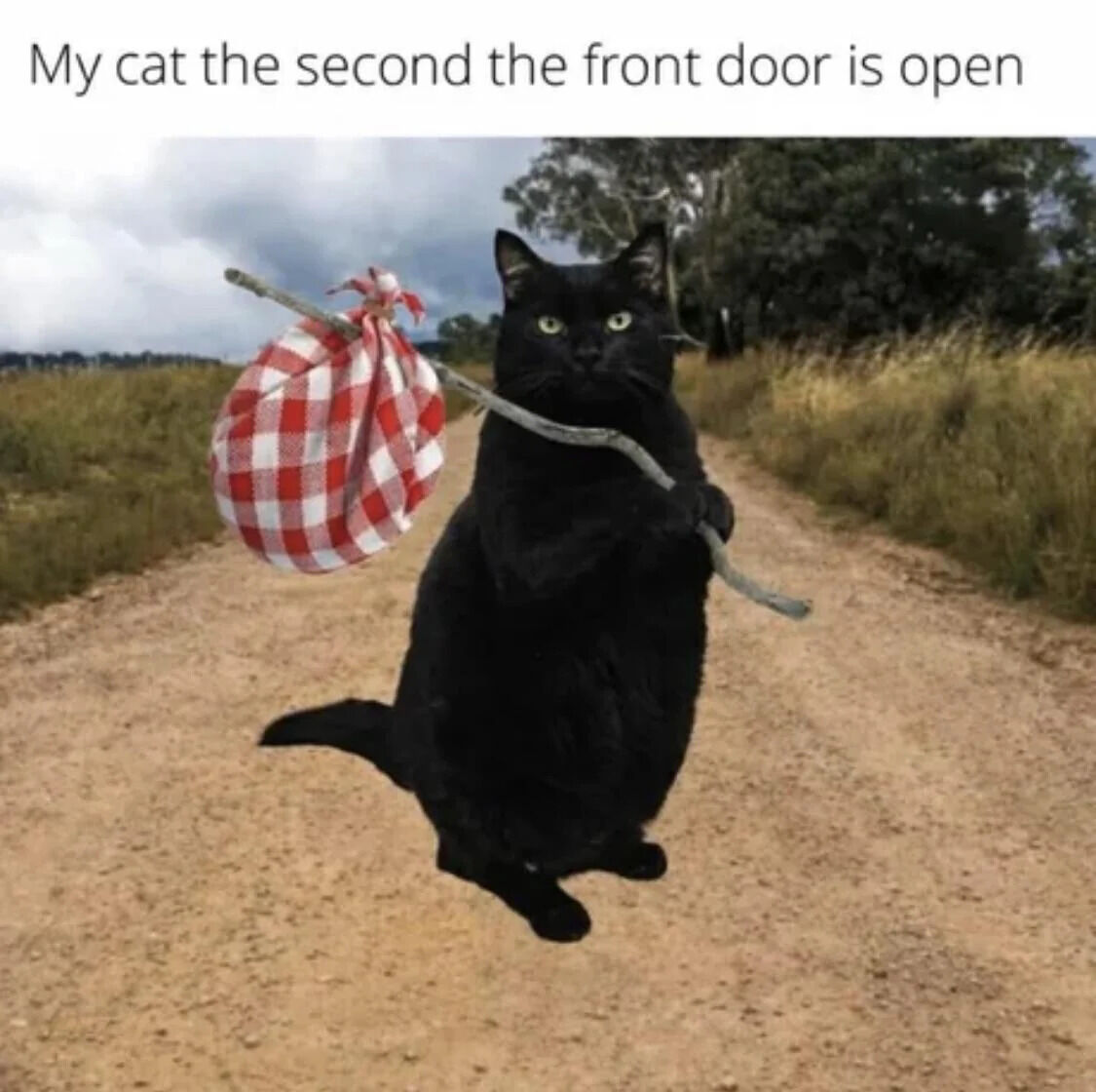 This is a humorous edited animal meme. A photograph of a black cat has been edited to stand upright on a rural dirt road, holding a wooden walking stick with a classic red-and-white checkered bindle (travel sack) slung over its shoulder, mimicking the classic cartoon trope of a traveler leaving home. The text at the top of the image reads 'My cat the second the front door is open', making a joke about the common pet behavior where indoor cats immediately become determined to leave the house and go outside the moment the front door is opened, personifying the cat as permanently running away.