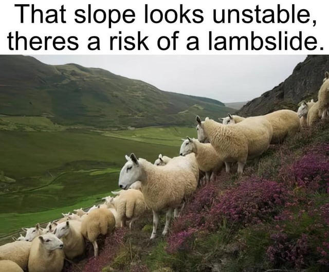 This is a pun-based humor meme featuring a photograph of a flock of sheep (lambs) lined up along a steep, unstable-looking grassy hillside. The text overlay at the top reads 'That slope looks unstable, theres a risk of a lambslide.' It uses wordplay: the joke replaces the term 'landslide' (a geological slope collapse) with 'lambslide' to reference the lambs/sheep standing on the unstable slope.