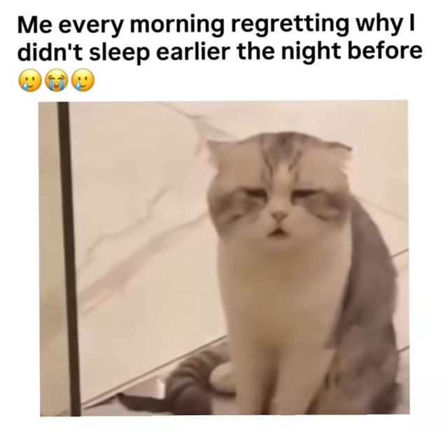 This is a single-panel relatable meme. At the top, text reads 'Me every morning regretting why I didn't sleep earlier the night before' followed by three crying emojis (two smiling-with-tear emojis flanking a full crying face emoji). Below the text is a low-resolution photograph of a chubby tabby cat with squinted half-closed eyes and a slightly open mouth, appearing extremely groggy, tired, and regretful, which visually matches the exhausted, regretful sentiment described in the top text, perfectly representing the common experience of sleep deprivation after staying up late the previous night.