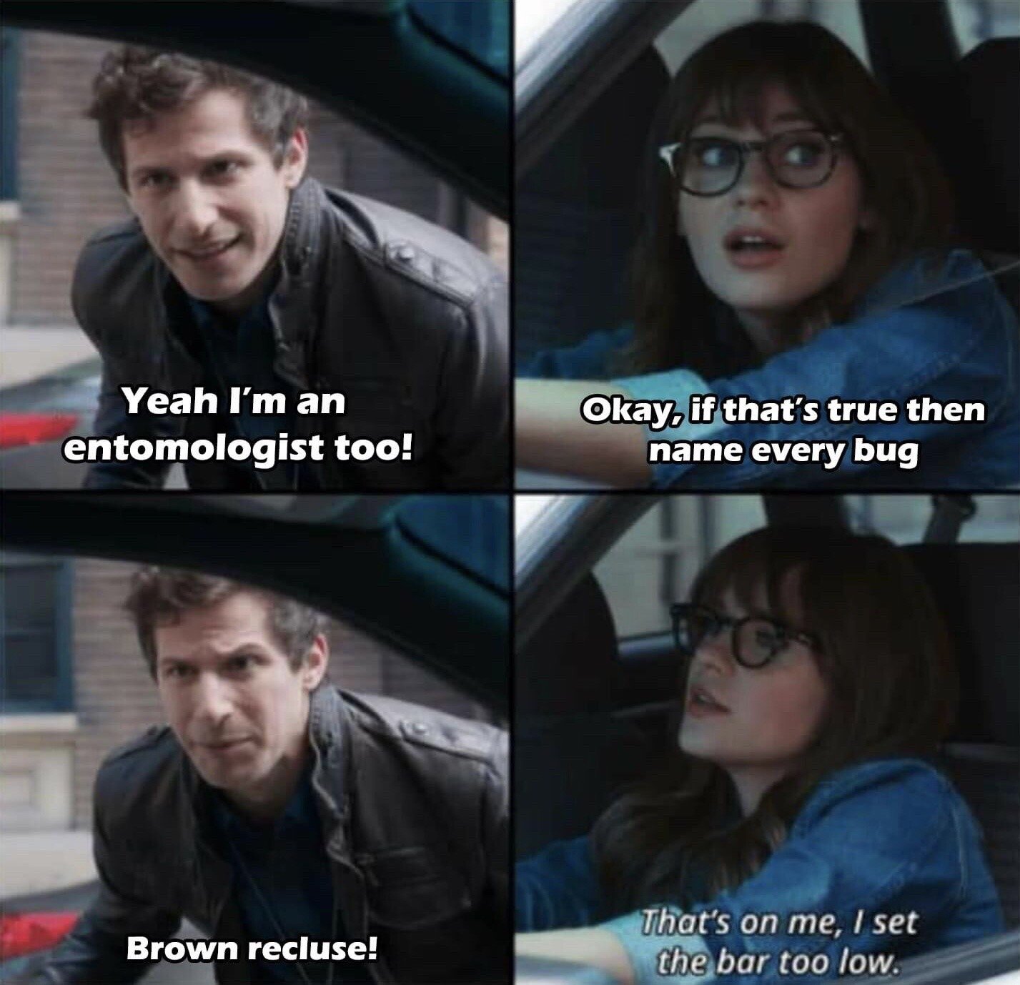 This is a 4-panel reaction meme using footage from the 2016 crossover episode of sitcoms Brooklyn Nine-Nine and New Girl. In the first panel, character Jake Peralta leans into a car window, claiming he is also an entomologist. In the second panel, Jessica Day, sitting in the driver's seat, challenges him to name every bug to prove his claim. In the third panel, Jake immediately names the brown recluse, a widely known venomous spider, as his only answer. In the final panel, Jessica looks away resignedly, admitting she set the bar too low for his knowledge. The joke satirizes people who falsely claim expertise in a field, only being able to name the most famous or infamous example of the subject they claim to know.