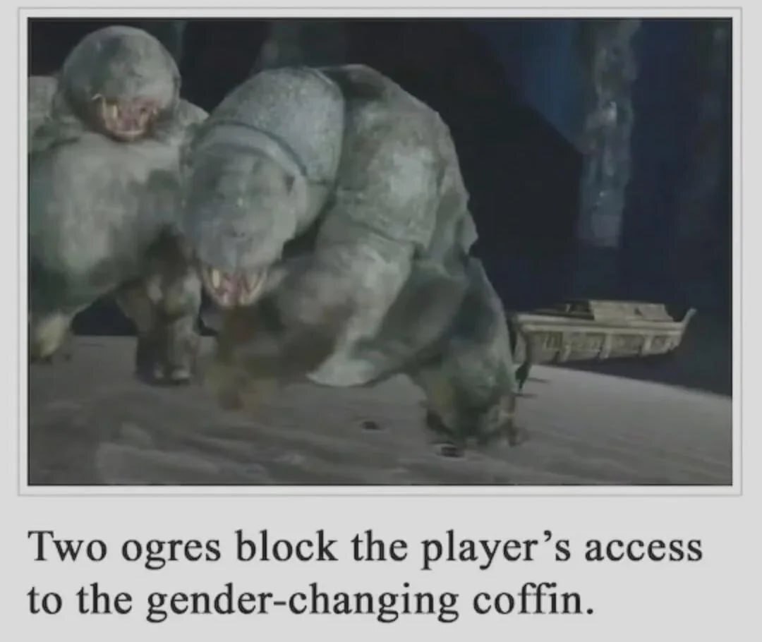 The image depicts two large, gray ogres with menacing expressions, bared fangs, and crouched postures, positioned to block a path. In the background, a small boat-like object (likely the 'gender-changing coffin') is visible. Below the image, a caption explains the scene: 'Two ogres block the player’s access to the gender-changing coffin.' The ogres appear to be from a fantasy or gaming context, with rough, stone-like skin and aggressive stances, emphasizing their role as obstacles.