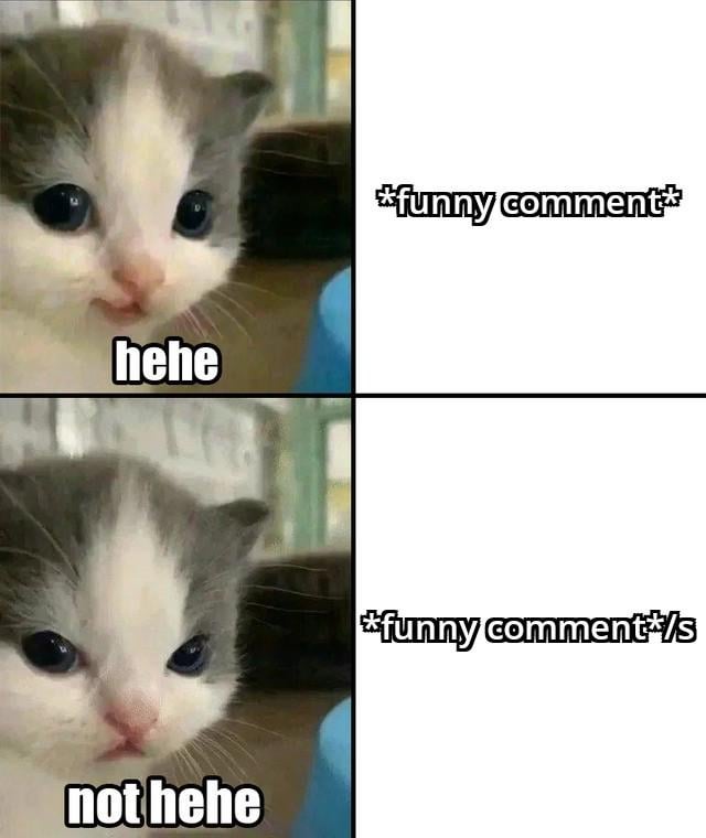 A 2x2 grid meme featuring a cute gray and white kitten with large blue eyes. Top-left panel: Kitten with text 'hehe' suggesting playfulness. Top-right panel: White background with '*funny comment*' as a placeholder. Bottom-left panel: Same kitten with text 'not hehe' indicating a shift to seriousness. Bottom-right panel: White background with '*funny comment*/s' where '/s' denotes sarcasm. The meme contrasts playful and dismissive reactions using the kitten's unchanged cute expression against varying text.