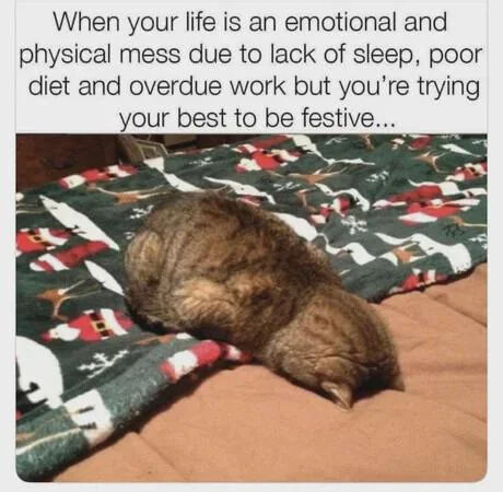 A meme consisting of a photograph of a tired tabby cat curled up on a festive blanket. The blanket features holiday-themed patterns, including snowmen, trees, and red/white color accents, suggesting a festive (likely Christmas) context. Above the image, there is a text caption that reads: 'When your life is an emotional and physical mess due to lack of sleep, poor diet and overdue work but you're trying your best to be festive...'. The cat's posture—body curled tightly, head低垂, and eyes closed—conveys明显的 exhaustion, creating a relatable contrast between feeling overwhelmed and attempting to engage with festive spirit.