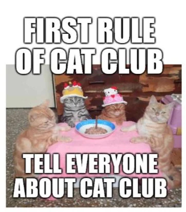 A meme featuring four cats sitting around a bowl, wearing party hats. The text at the top reads 'FIRST RULE OF CAT CLUB' and the text at the bottom reads 'TELL EVERYONE ABOUT CAT CLUB', which is a humorous inversion of the first rule of Fight Club ('Don't talk about Fight Club'). The cats appear calm and are positioned centrally, with the bowl in front of them, creating a playful and ironic take on the original rule.
