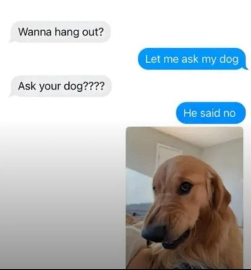 The image features two sections: a chat conversation and a dog photo. The chat shows: 'Wanna hang out?' (white bubble), 'Let me ask my dog' (blue bubble), 'Ask your dog????' (white bubble), and 'He said no' (blue bubble). Below is a photo of a golden retriever with a neutral expression in a room with white walls. Humor arises from the absurdity of using a dog's 'response' to reject social plans, creating a lighthearted, sarcastic rejection scenario.