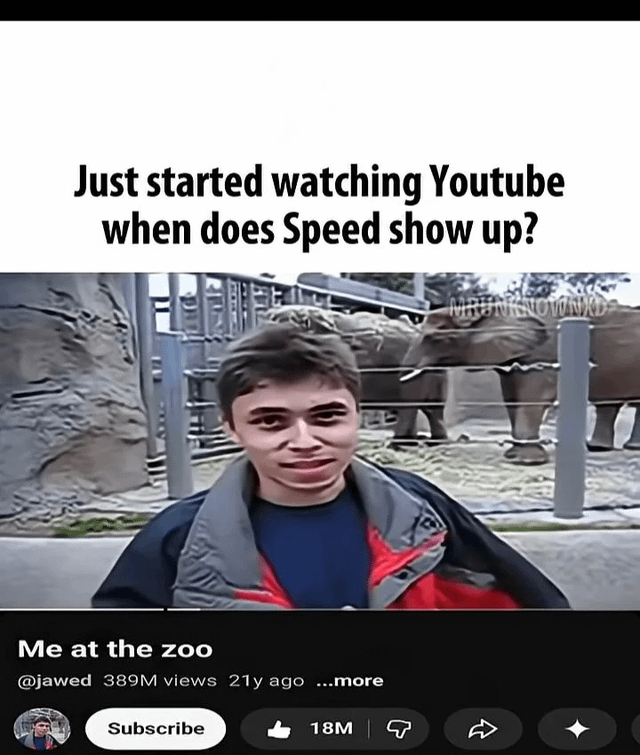 This humorous meme features text overlaid on a screenshot of the first ever public YouTube video, titled 'Me at the zoo'. The top text reads 'Just started watching Youtube when does Speed show up?', which rests above the thumbnail of the 21-year-old video showing YouTube co-founder Jawed Karim standing in front of an elephant enclosure at a zoo. The lower part of the image displays standard YouTube UI elements, including the video's 389 million view count, 18 million likes, and a subscribe button. The joke relies on the absurd premise that YouTube functions as a single linear, chronological piece of media rather than a platform hosting millions of independent videos uploaded across decades, with the poster expecting popular modern creator IShowSpeed (colloquially shortened to Speed) to appear later in the supposed continuous series.