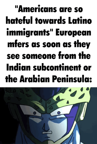 A meme criticizing European hypocrisy regarding immigration attitudes. The top text reads: "'Americans are so hateful towards Latino immigrants' European mfers as soon as they see someone from the Indian subcontinent or the Arabian Peninsula:'' Below the text are four panels featuring Dragon Ball characters (Cell and Vegeta) with progressively intensifying angry expressions, visually emphasizing the hypocrisy of Europeans criticizing American attitudes while reacting negatively to other immigrant groups. The characters' facial transitions from neutral to furious mirror the shift in European behavior being satirized.