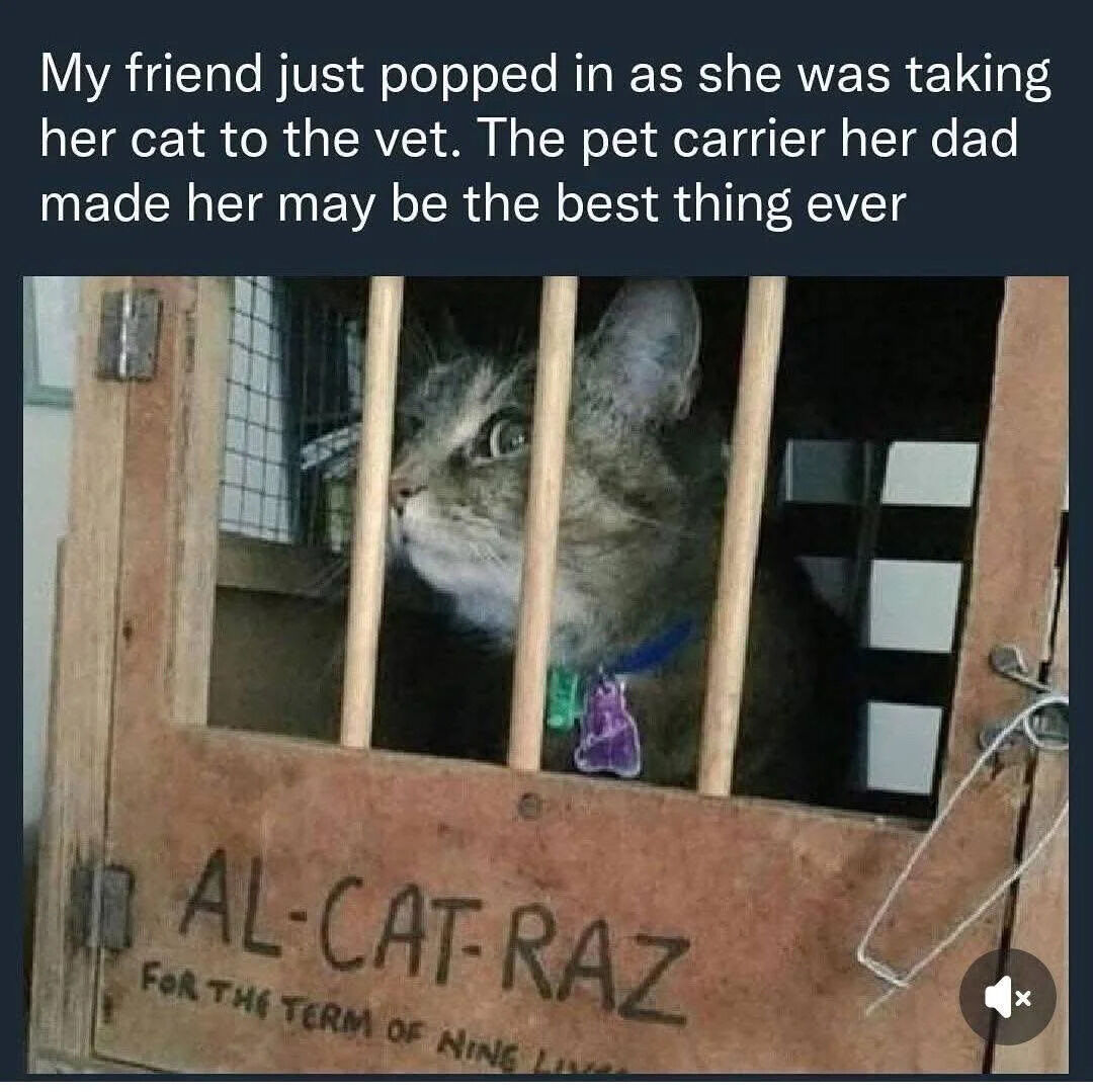 A meme consisting of a text caption and a photograph. The caption explains that the creator's friend was taking her cat to the vet in a homemade pet carrier made by her dad. The photograph shows a gray tabby cat inside a wooden carrier with metal bars. On the carrier, handwritten text reads 'AL-CAT-RAZ' (a pun on 'Alcatraz') and 'For The Term Of Nine Lives' (referencing cats' mythical nine lives). The cat appears alert, looking to the side with wide eyes.