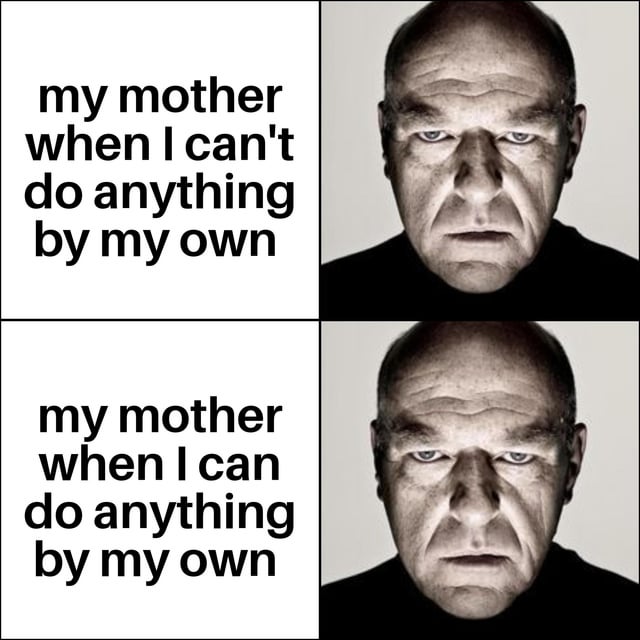 This is a 2x2 grid format meme highlighting a common relatable lose-lose scenario with parents. The top left text reads 'my mother when I can't do anything by my own', paired with an image of a stern, unimpressed Hank Schrader (from Breaking Bad) on the right. The bottom left text reads 'my mother when I can do anything by my own', paired with the exact same unimpressed stern image of Hank Schrader. The joke conveys that the mother is unhappy and disapproving regardless of whether the child is independent or not, creating a no-win situation for the child.