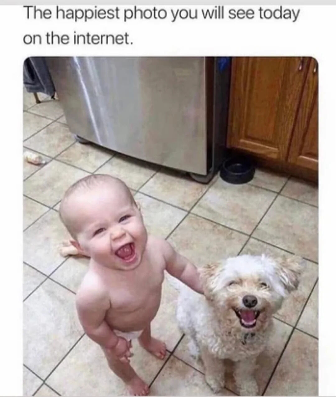 A heartwarming photograph of a young baby and a small white dog in a kitchen. The baby, wearing only a diaper, is standing on a tiled floor with a wide, open-mouthed laugh, one hand resting gently on the dog. The dog, with fluffy white fur, is sitting beside the baby, also appearing to smile with its mouth open, creating a joyful and wholesome scene. The background includes a stainless steel refrigerator, wooden cabinets, and a black pet food bowl on the floor. Above the image, there is text stating 'The happiest photo you will see today on the internet,' emphasizing the uplifting nature of the moment.