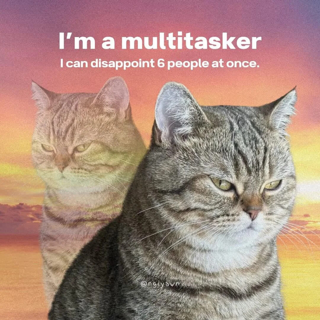Sarcastic Multitasker Cat Meme GagBase | AI-powered meme search engine ...