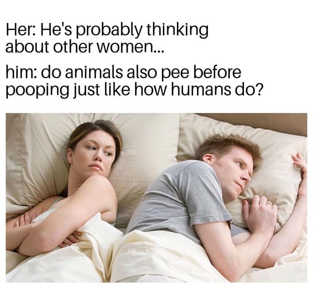 Couple in bed stock photo meme template