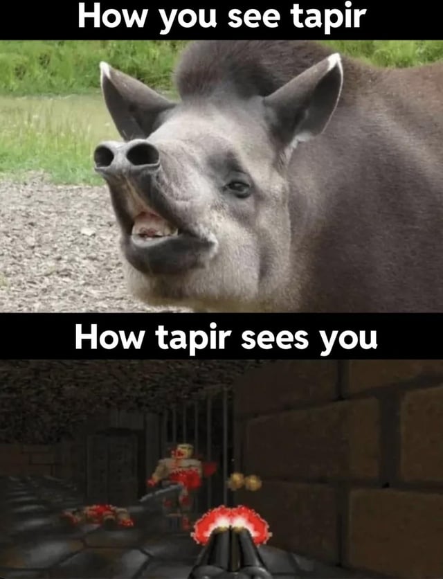 Real Animals