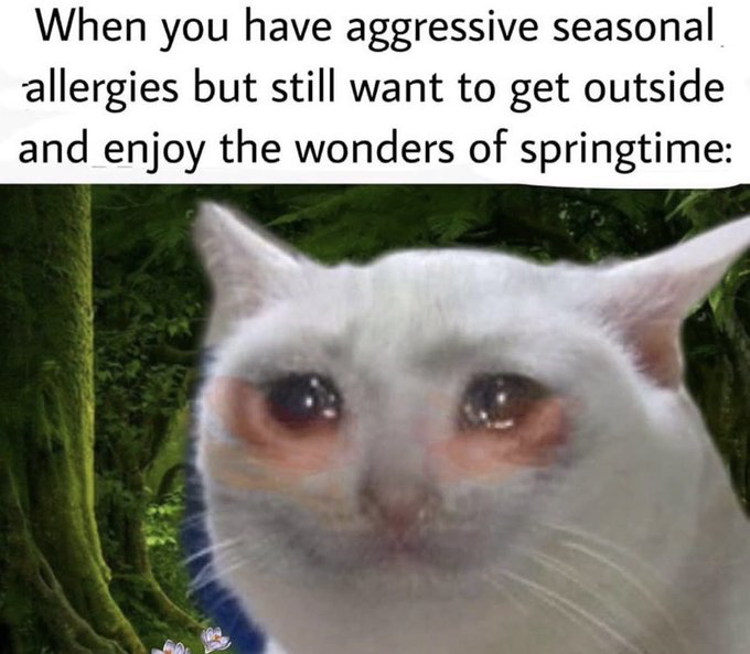 Viral Meme Template (Real Animal)