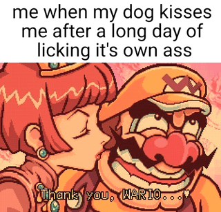 WarioWare/Mario Franchise (Nintendo)