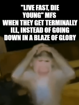 Real Monkey Viral Footage