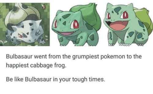 Pokémon Media Franchise