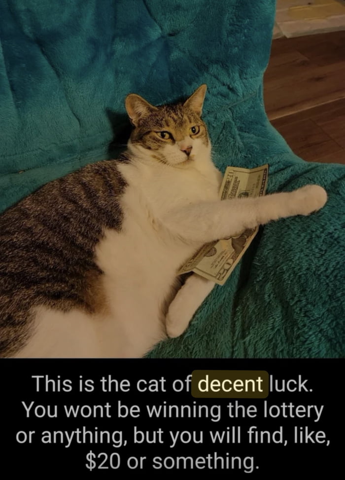 Real animal stock photography