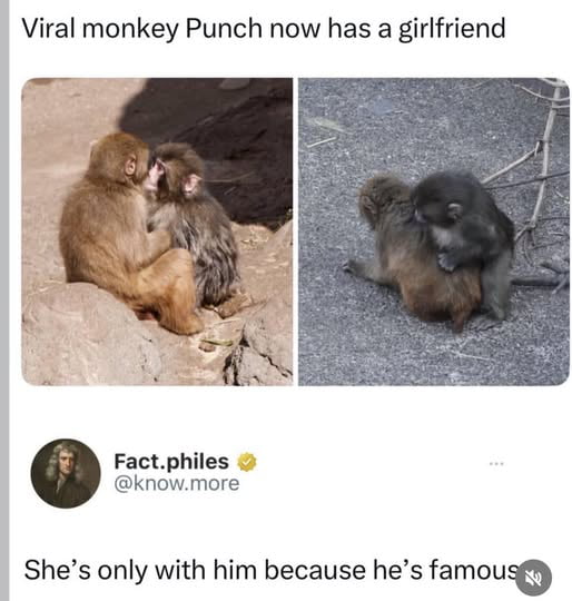 Viral Real Wildlife Incident