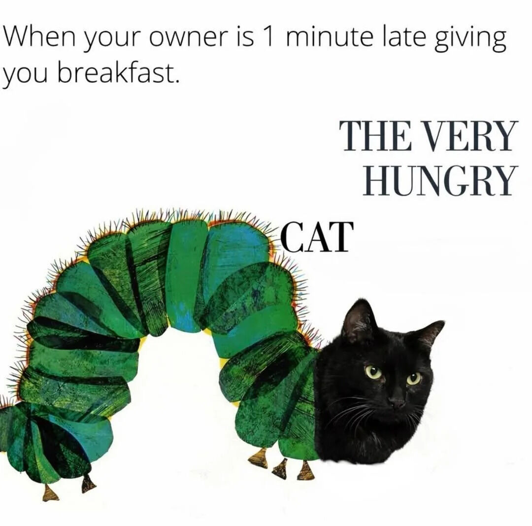 Remix of Eric Carle's The Very Hungry Caterpillar