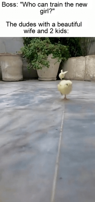 Viral Reaction Clip