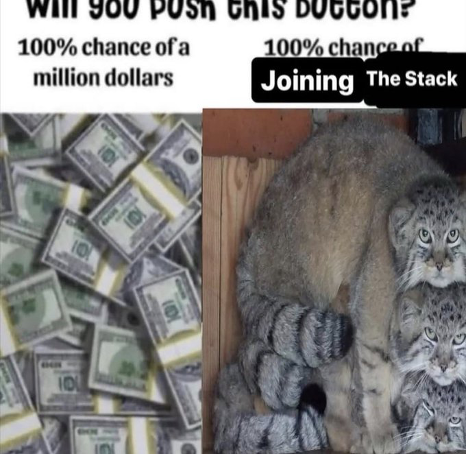 Real Wild/Rescue Animal