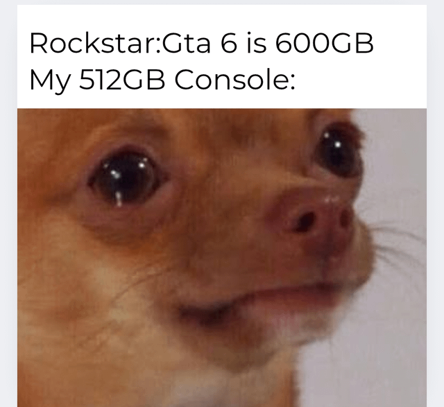 Sad Chihuahua