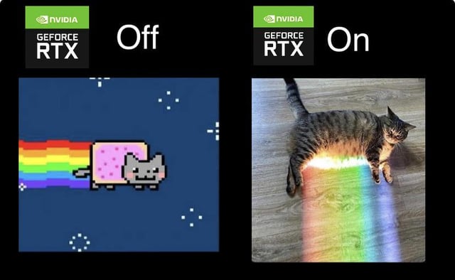 Viral Wildlife Internet Meme