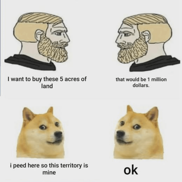Viral animal photo meme