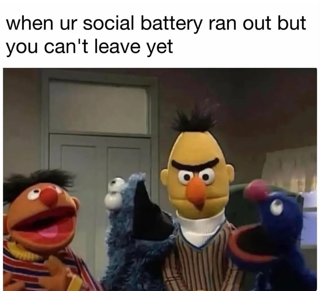 Bert