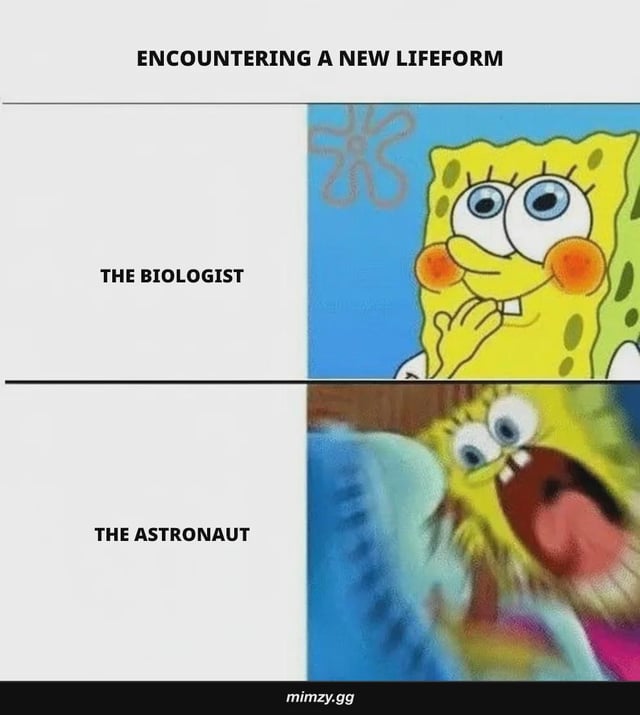 SpongeBob SquarePants