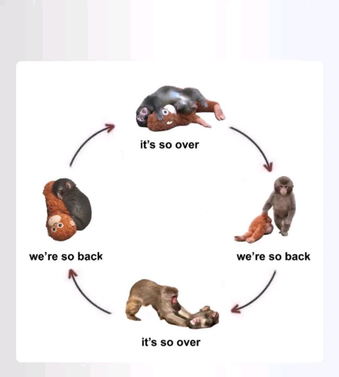 Real Monkey Footage + Edited Creature Meme